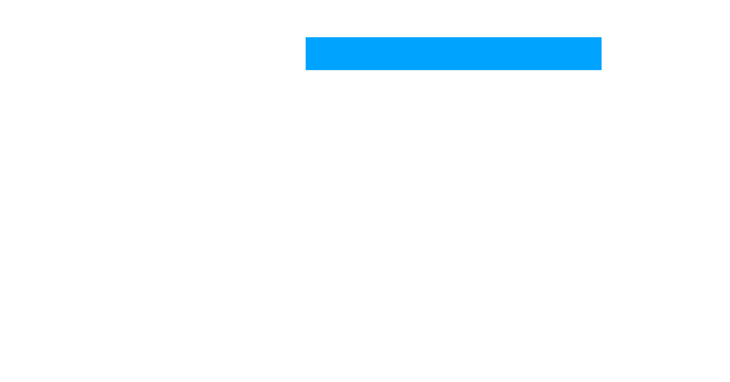 Priorities of leading information services businesses